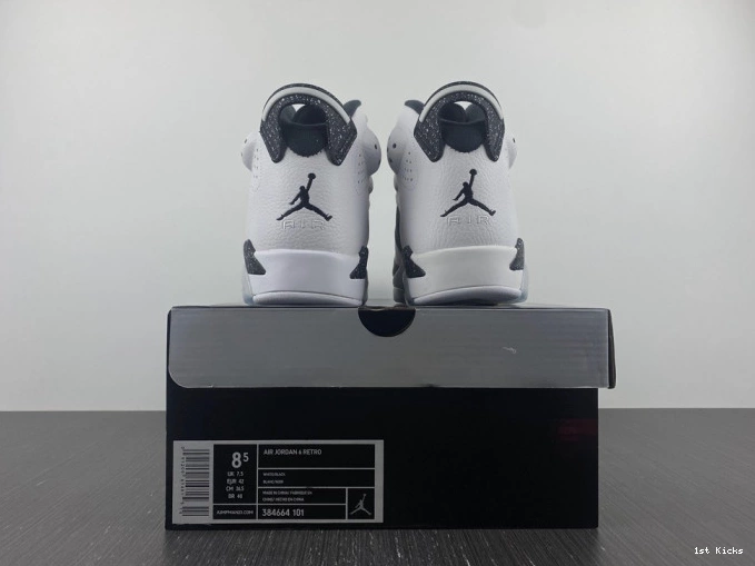 384664-101 6 Jordan Oreo Retro 0805
